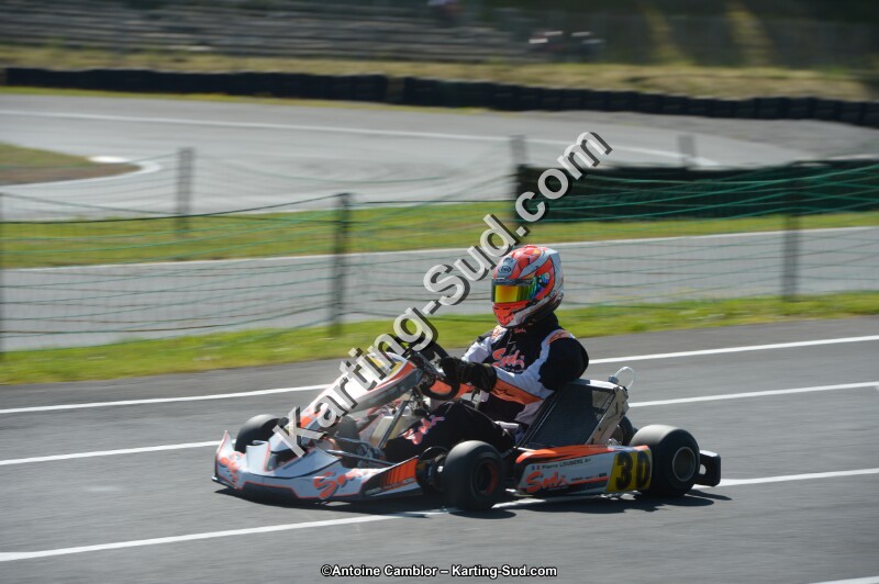 DSC_8031.jpg
