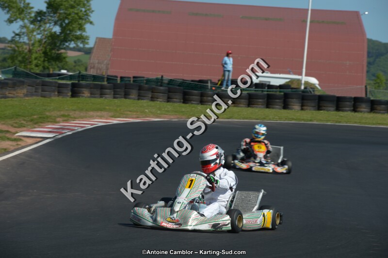 DSC_8080.jpg