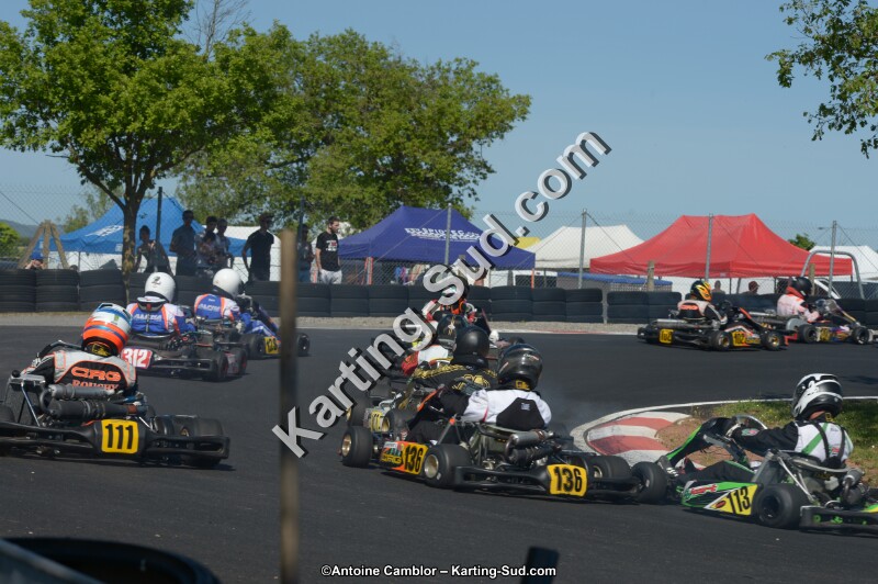 DSC_8124.jpg