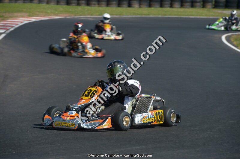 DSC_8137.jpg