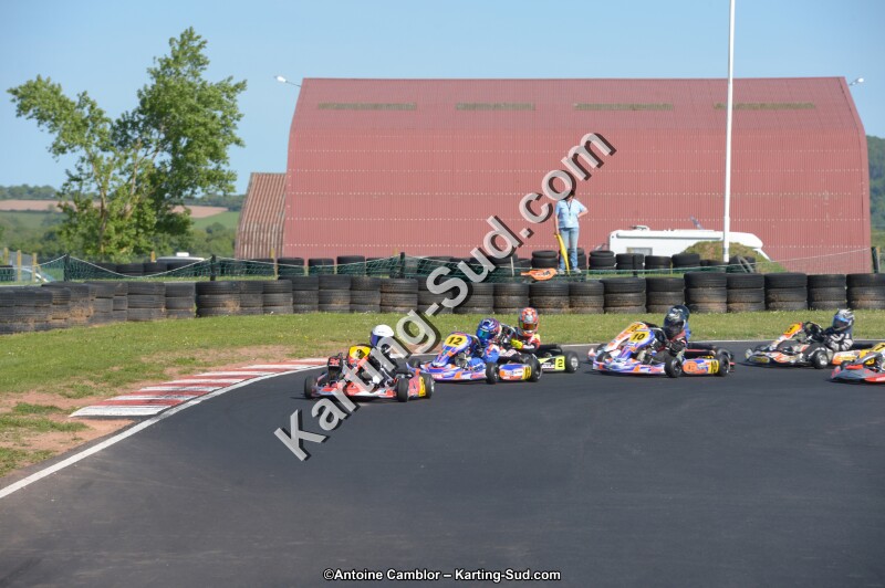 DSC_8176.jpg