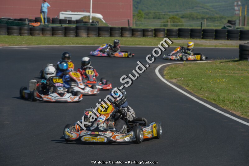 DSC_8184.jpg