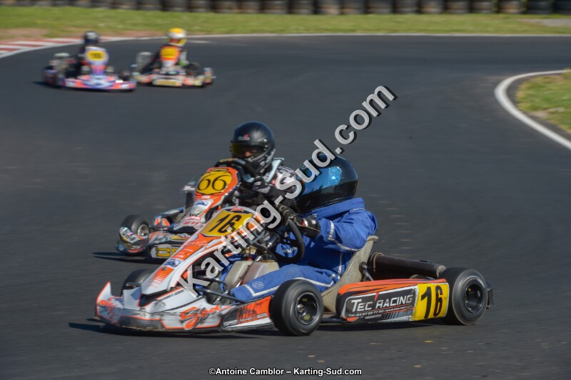 DSC_8186.jpg