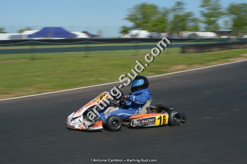 DSC_8217.jpg