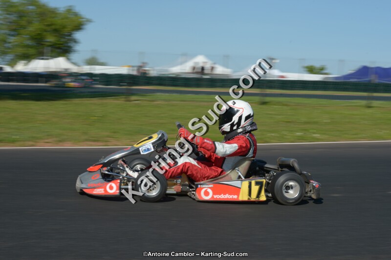 DSC_8225.jpg