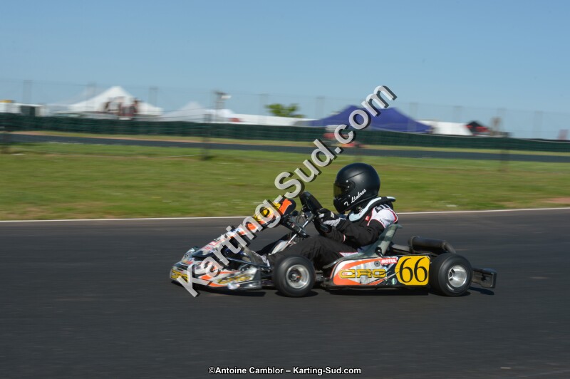 DSC_8226.jpg