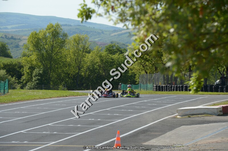 DSC_8241.jpg