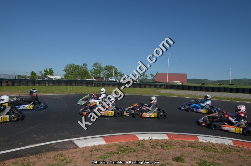 DSC_8261.jpg