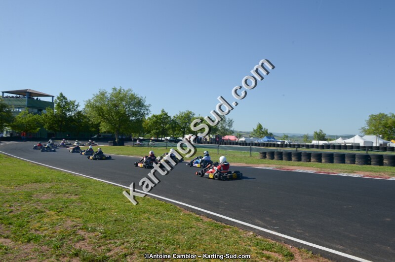 DSC_8263.jpg