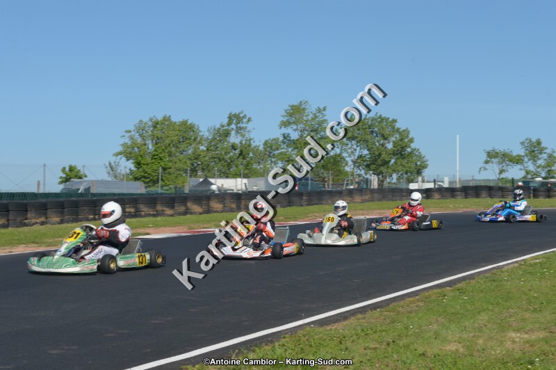 DSC_8271.jpg