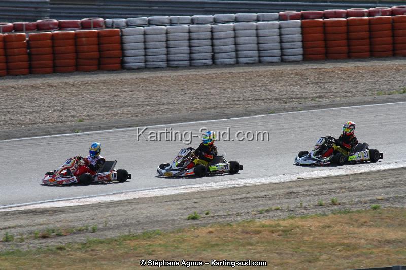IMG_3800.JPG