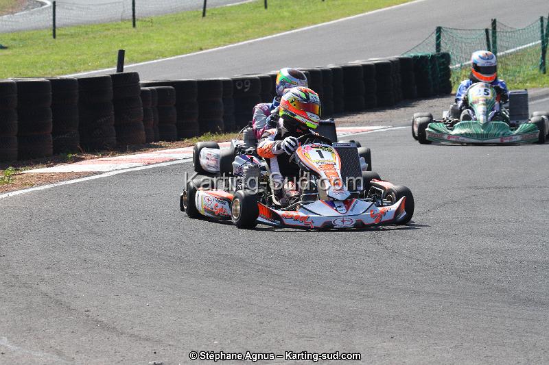 IMG_8865.JPG
