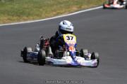 IMG_0443