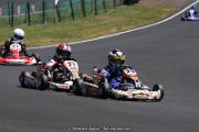 IMG_0446