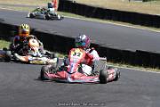 IMG_0601