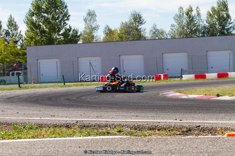 IMG_2016.jpg