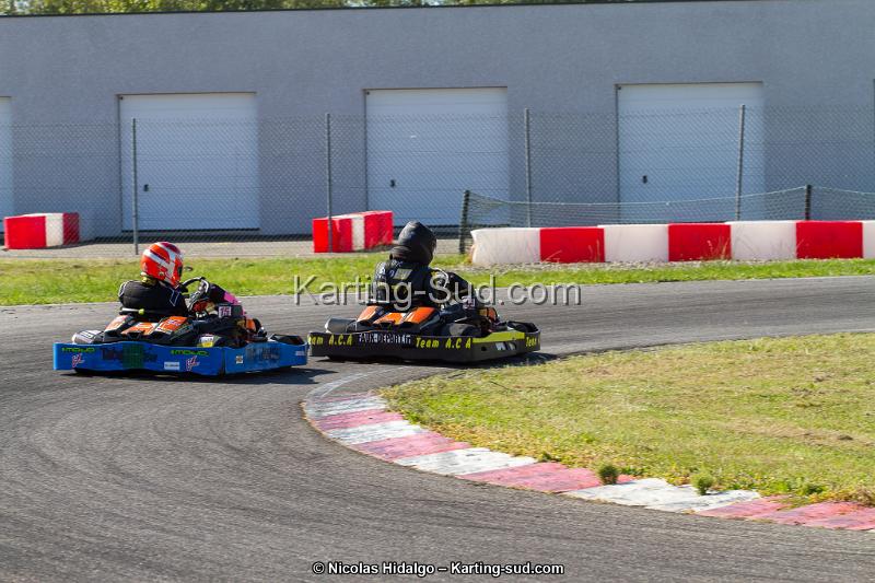 IMG_2184.jpg