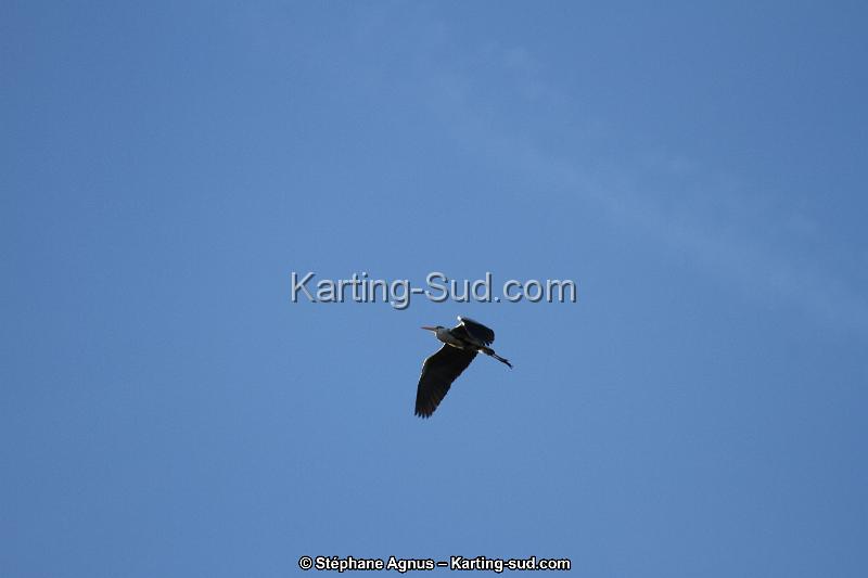 IMG_0012.JPG