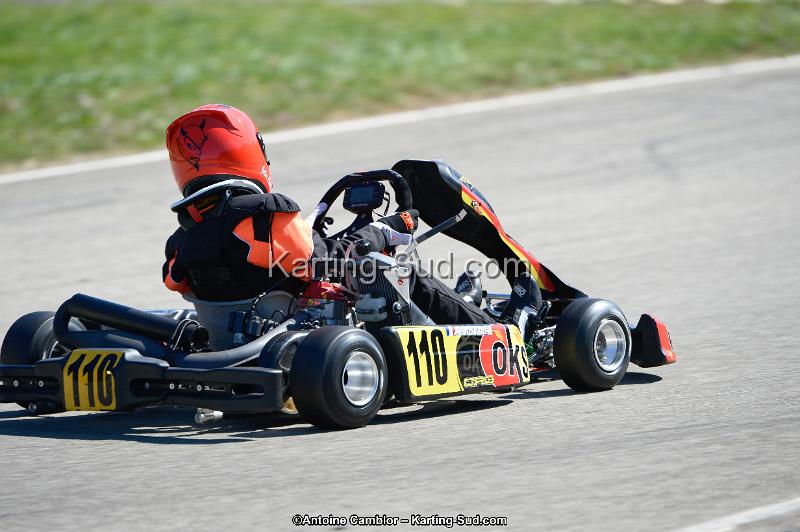_DSC0168_DxO.jpg