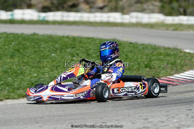 _DSC0234_DxO.jpg