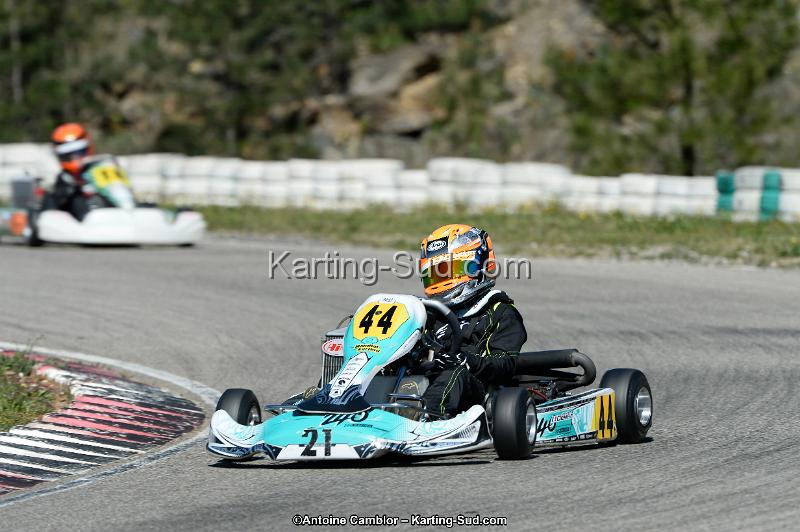 _DSC0246_DxO.jpg