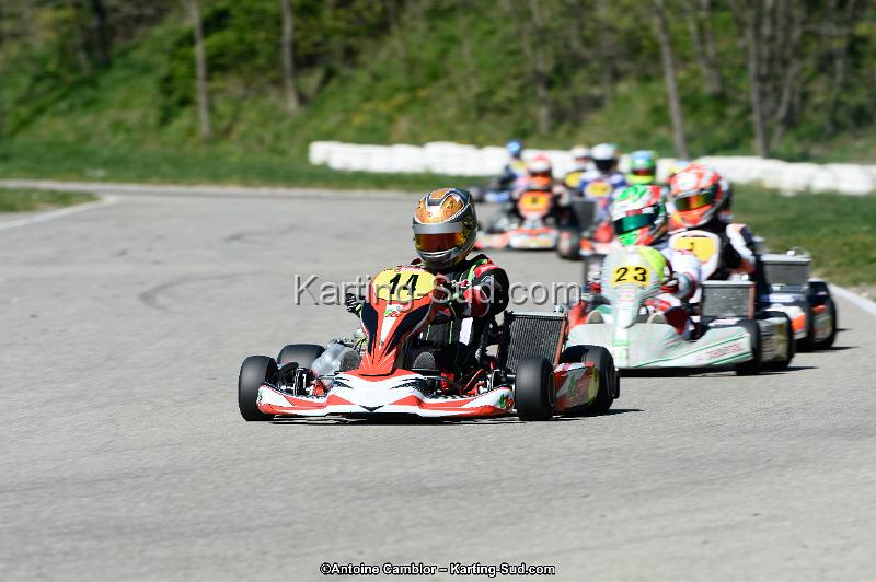 _DSC0277_DxO.jpg