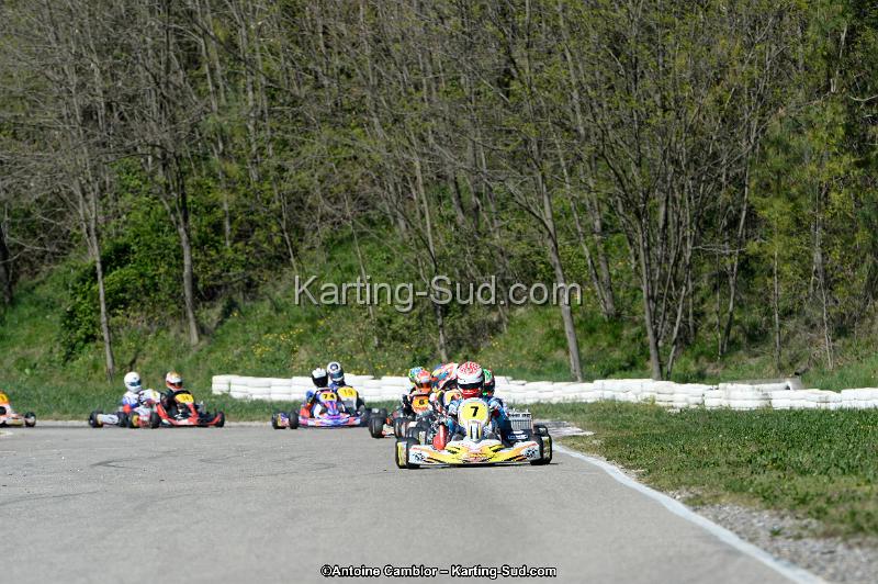 _DSC0287_DxO.jpg
