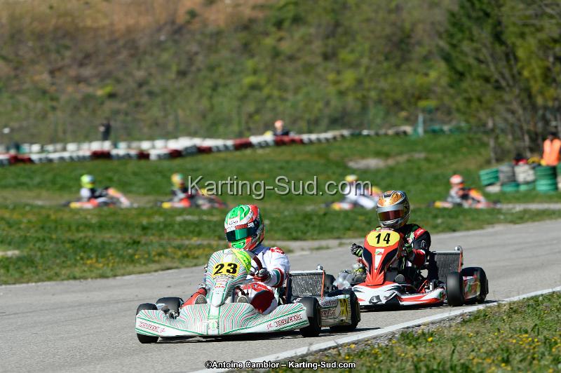 _DSC0327_DxO.jpg
