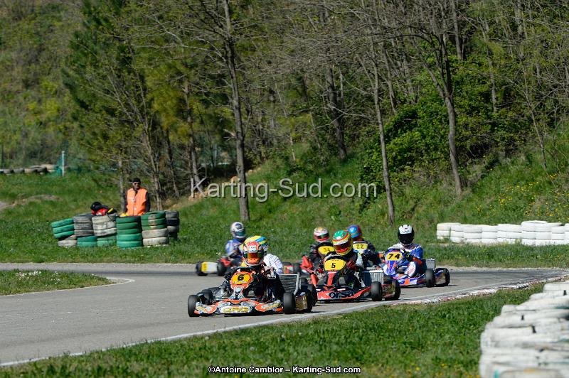 _DSC0337_DxO.jpg