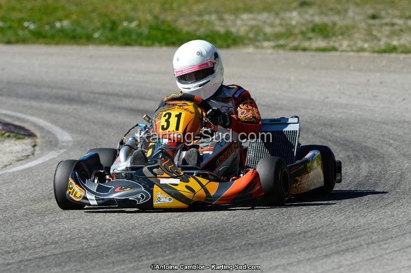 _DSC0377_DxO.jpg