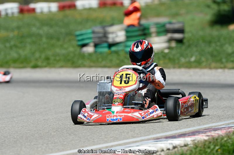 _DSC2990_DxO.jpg