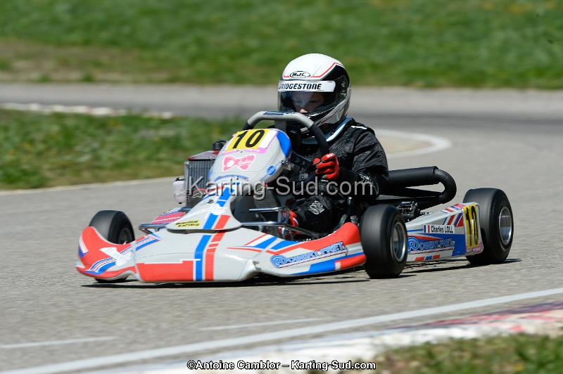 _DSC3005_DxO.jpg