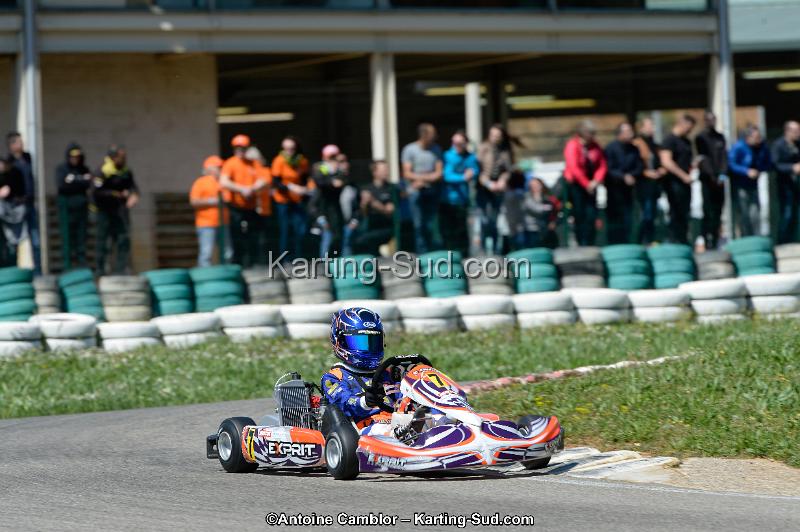 _DSC3010_DxO.jpg