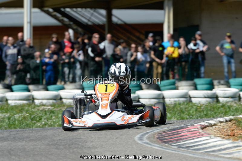 _DSC3033_DxO.jpg