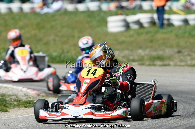 _DSC3126_DxO.jpg