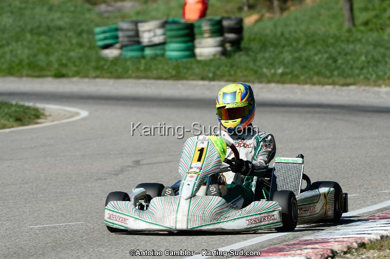 _DSC3715_DxO.jpg