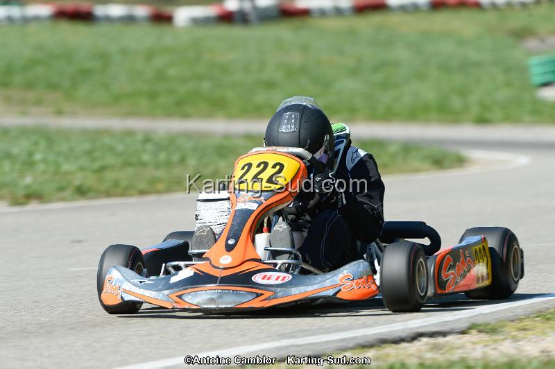 _DSC3737_DxO.jpg