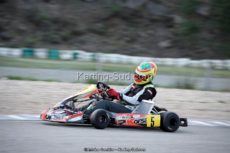 _DSC7917_DxO.jpg