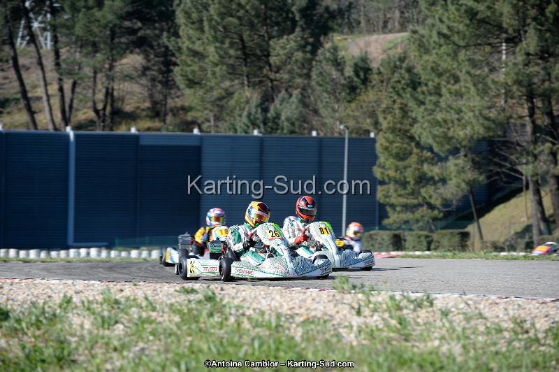 _DSC8486_DxO.jpg