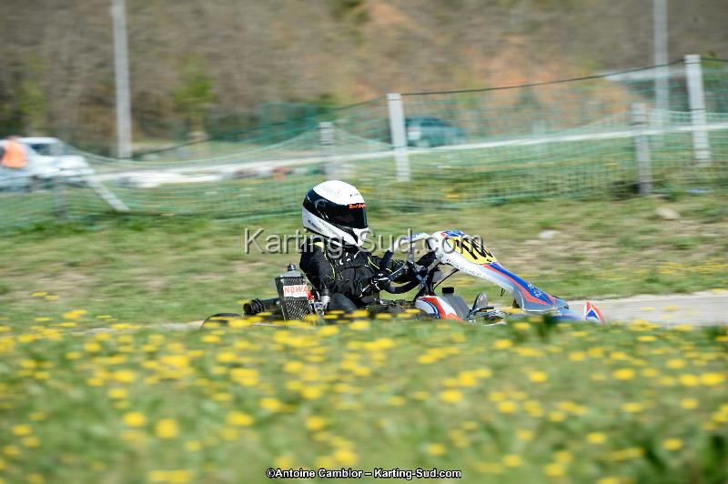 _DSC8738_DxO.jpg