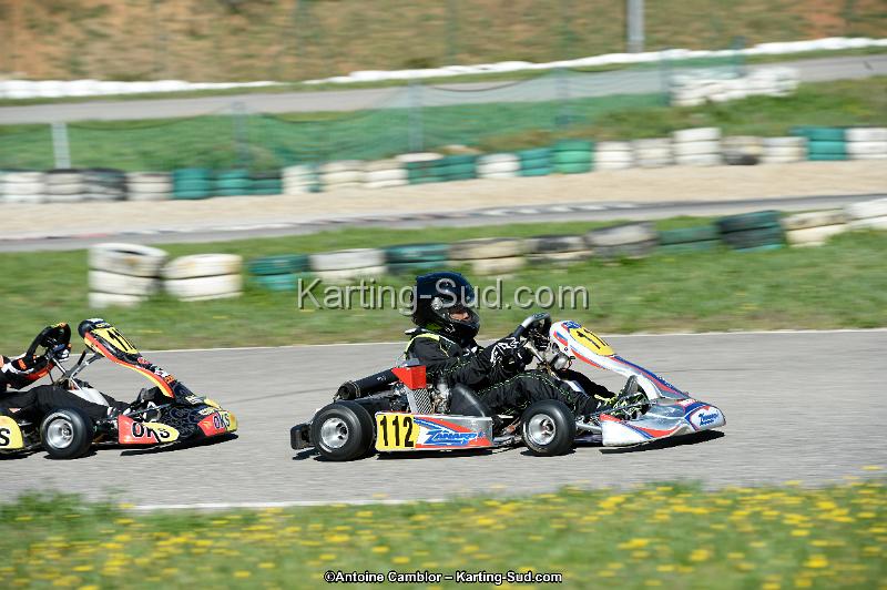 _DSC8741_DxO.jpg