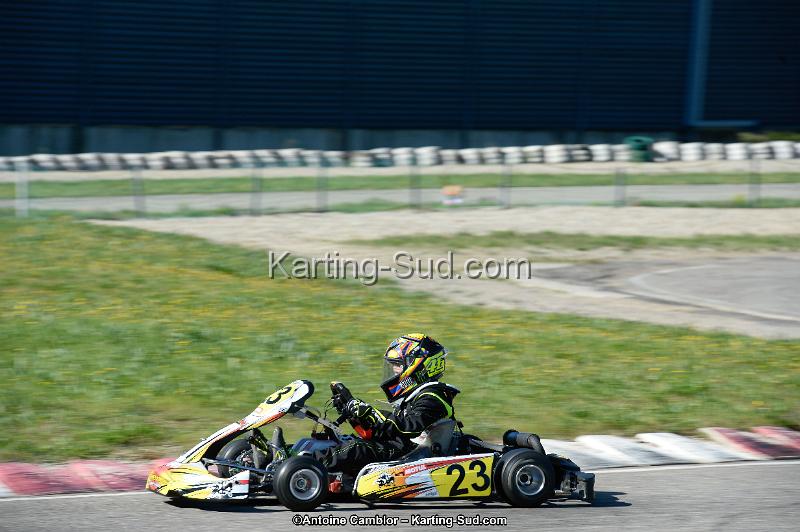 _DSC8781_DxO.jpg