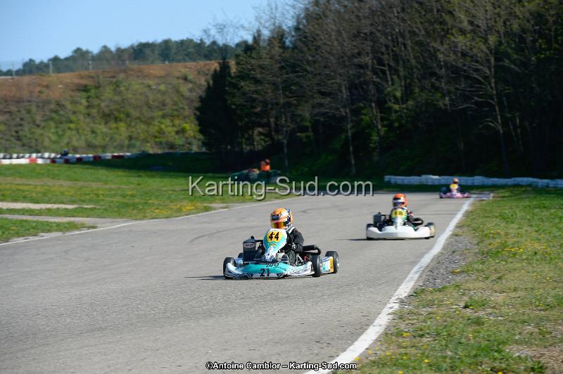 _DSC8800_DxO.jpg