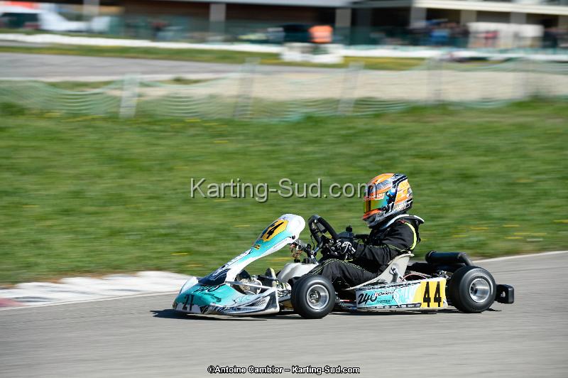_DSC8801_DxO.jpg