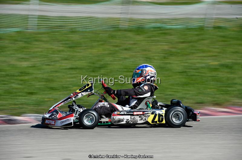 _DSC8805_DxO.jpg