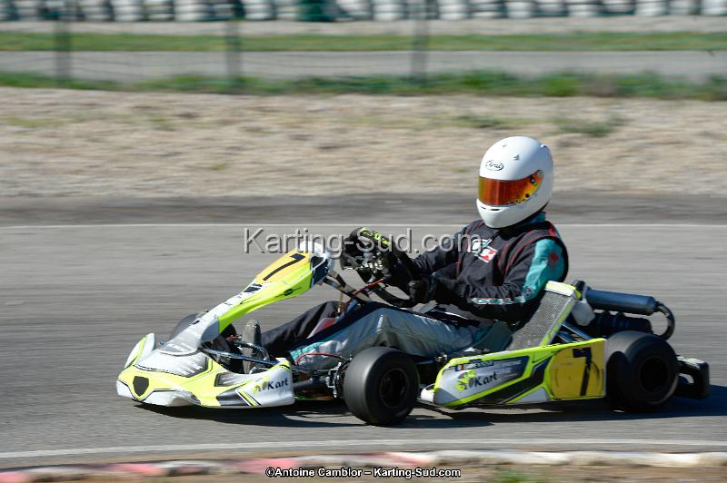 _DSC8856_DxO.jpg