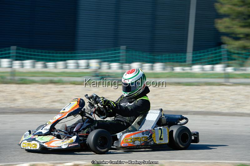 _DSC8866_DxO.jpg