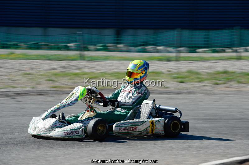 _DSC8870_DxO.jpg