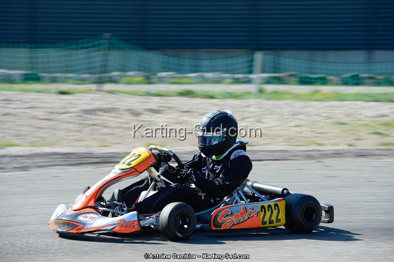 _DSC8877_DxO.jpg