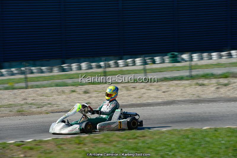 _DSC8881_DxO.jpg